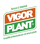 Vigor Plant